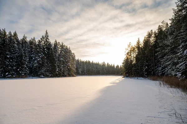 The magic of snow on the snow-covered, forested Lake Melnezers, in the rays of the evening sun