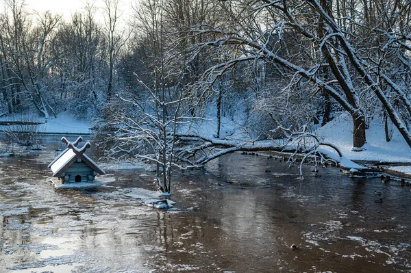 spring floods and ice melt in a small river, waterfowl feeder flooded as water level rises, Latvia