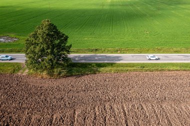 Yeşil tarladan geçen yolun havadan görüntüsü. Kırsal alan.