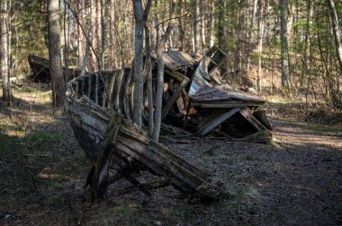 Ormanda terk edilmiş eski ahşap balıkçı teknesi. Mazirbe, Letonya 'daki tekne mezarlığı..