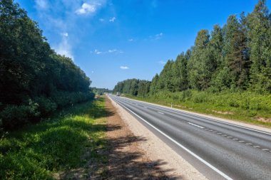 Açık mavi gökyüzünün altında ağaçlarla çevrili boş bir yol..