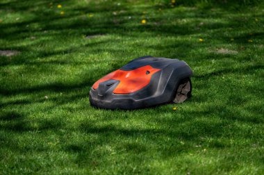 Robot biçme makinesi güneşli bir parkta çim biçiyor..