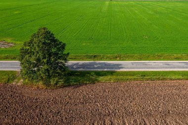 Yeşil tarladan geçen yolun havadan görüntüsü. Kırsal alan.