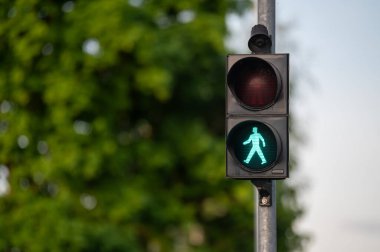 Yeşil yaya işareti aydınlık gün ışığında ağaçlar ve yapraklarla yürüyüşü işaret ediyor.. 