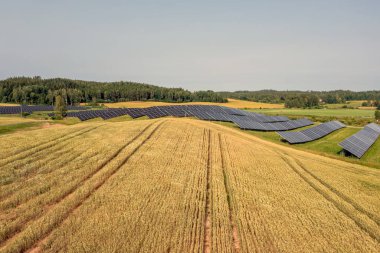 Güneş panelleri bir alanın yakınındaki çimenli bir yamaçta sıralanır..