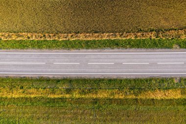 Üzerinde beyaz şerit işaretleri olan bir yol çimen ve ekinlerden oluşan bir tarladan geçiyor..