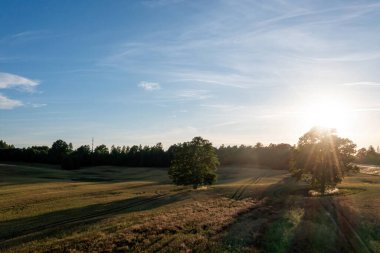 Ağaçların olduğu geniş bir tarla ve parlak mavi bir gökyüzü..