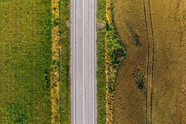 Yeşil ve altın otların arasından geçen uzun düz bir yol..