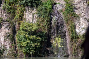 Bir şelale zarif bir şekilde kayalık bir uçurumdan aşağı akar. Canlı yapraklarla süslenir..