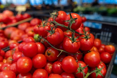 Parlak kırmızı domatesler taze ürünlerle dolu hareketli bir pazarda üst üste yığıldı..