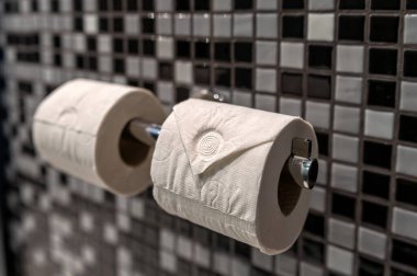 Modern bir banyo ortamında krom tutacağa sergilenen iki rulo tuvalet kağıdı..