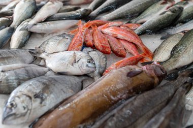 Sabahın erken saatlerinde hareketli bir pazarda buzda sergilenen taze balık.