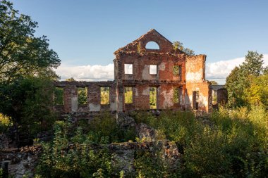 Tuğla bir yapı enkaz altında, açık gökyüzünün altındaki yeşillikler tarafından ele geçirilmiş..