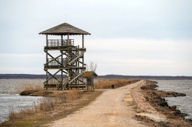Ahşap bir kule, göl kıyısında bataklık manzaralı bir gözetleme noktası sağlar..