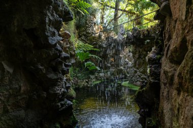 Berrak bir gölete dökülen sakin bir şelale. Etrafı yemyeşil.