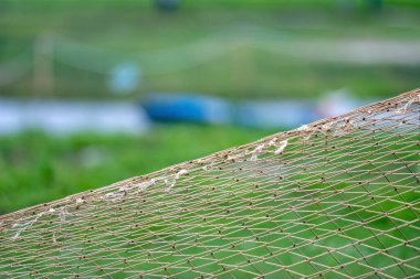 Gün ışığında, sakin yeşil bir arazide yakalanan balık ağı.
