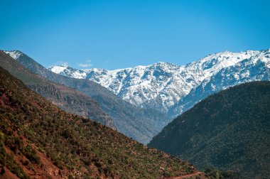 Atlas Dağları 'nın karla kaplı zirveleri açık bir günde Fas' taki yeşil vadilerin üzerinde yükseliyor..