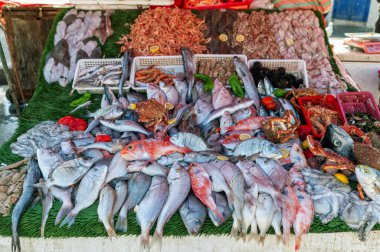 Essaouira 'nın deniz ürünleri pazarı canlı bir taze balık ve kabuklu deniz hayvanı seçimi sunuyor..