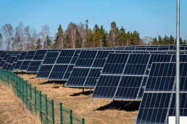Güneş panelleri açık bir günde güneşli bir alanda yenilenebilir enerji topluyor.