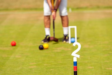 Bir oyuncu güneşli bir günde parkta kriket turnuvasında topa vurmaya hazırlanıyor..