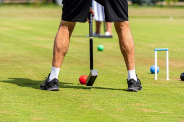 Bir oyuncu kırmızı kriket topunu iyi korunmuş bir çimenlik alana atmaya hazırlanıyor..