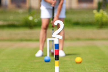 Oyuncular oyundaki renkli topa vurmaya hazırlanırken kriket potasına odaklanırlar.