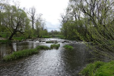 Bahar mevsiminde bulutlu bir günde yeşil kıyıların ve ağaçların yanından geçen yumuşak sular..