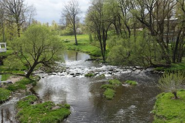 Bir nehir, bulutlu bir gökyüzünün altındaki canlı yeşil ağaçların ve çimenli alanların içinden nazikçe akar..