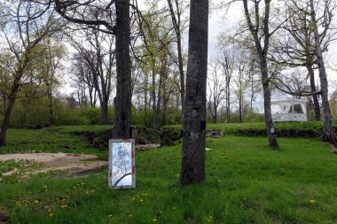 Ayna, bulutlu bir günde sakin bir orman bölgesinde ağaçları ve yeşilliği yansıtır..
