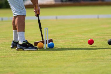 Gündüz vakti yeşil çimlerde kriket oynamaya odaklanan bir adam..