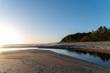 Huzurlu bir sahil sahnesinde kıvrımlı bir nehir ve sabah ışığında yıkanmış ağaçlar yer alır..