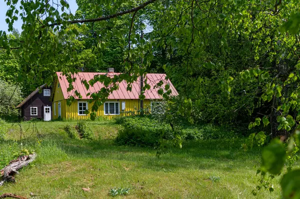 Ruhnu, Estonya - 1 Haziran 2025: Estonya 'daki Ruhnu Adası' nda yemyeşil yemyeşil bir kır evi.