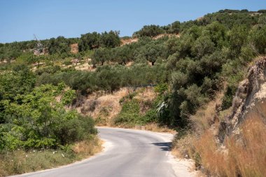 Girit 'te güneşli bir günde zeytin ağaçları ve yemyeşil ile çevrili manzaralı yol.