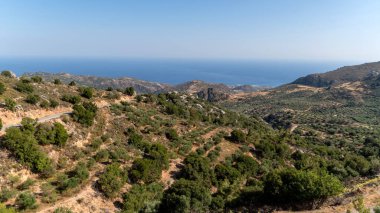 Girit 'teki Akdeniz manzaralı tepeler ve zeytin koruluklarının göz kamaştırıcı manzarası.
