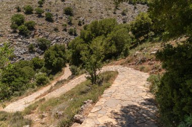Girit 'in arazisindeki Dikteon mağarasına doğru uzanan taştan yol yemyeşil bitki örtüsünden geçiyor..