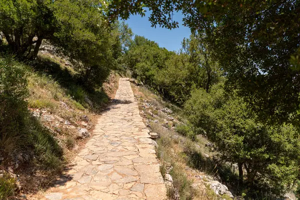 Ziyaretçiler Girit 'in büyüleyici manzarasındaki Dikteon mağarasına giden tarihi taş yolda yürüyorlar..