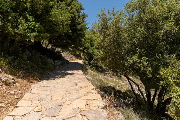Ziyaretçiler Girit 'in Lasithi' sindeki tarihi Dikteon mağarasına giden taş yolda yürürler..