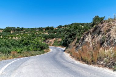 Girit 'teki parlak mavi gökyüzünün altında yemyeşil ve zeytin ağaçlarıyla dolu kıvrımlı bir yol.