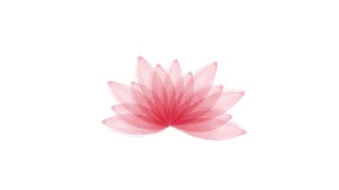 Animated watercolor lotus flower