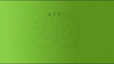  20 Nisan kutlamaları marihuana yapraklarıyla yapılıyor..