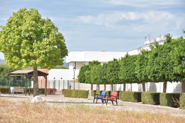 Beyaz çitli tahta bir bankın dikey görüntüsü.