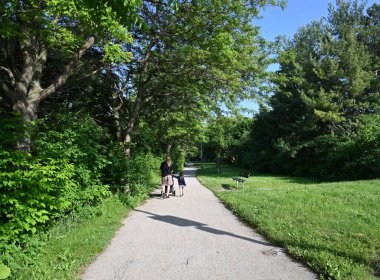 Parkın ve manzaranın feneri