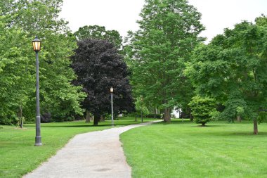 Parkın ve manzaranın feneri
