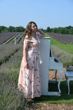 Lavanta tarlasında şapkalı kadın ve beyaz piyano