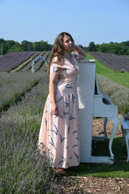 Lavanta tarlasında şapkalı kadın ve beyaz piyano