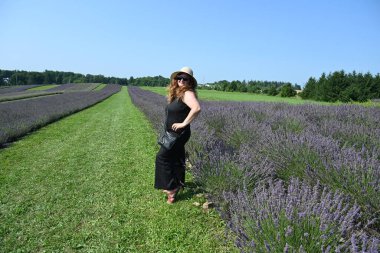 Lavanta tarlasında orta yaşlı bir kadın