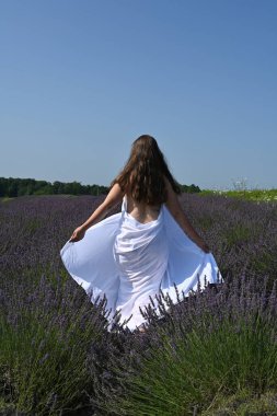 Lavanta tarlasında beyaz elbiseli bir kız.,