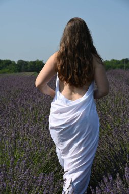 Lavanta tarlasında beyaz elbiseli bir kız.,