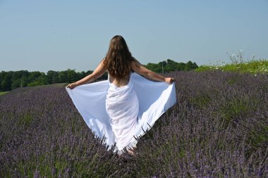 Lavanta tarlasında beyaz elbiseli bir kız.,