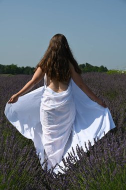 Lavanta tarlasında beyaz elbiseli bir kız.,